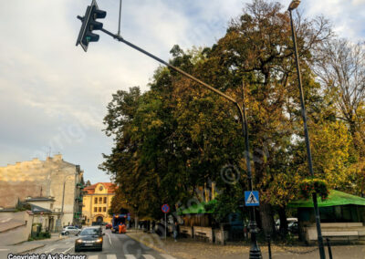 עמודי רמזורים בפולין – 2